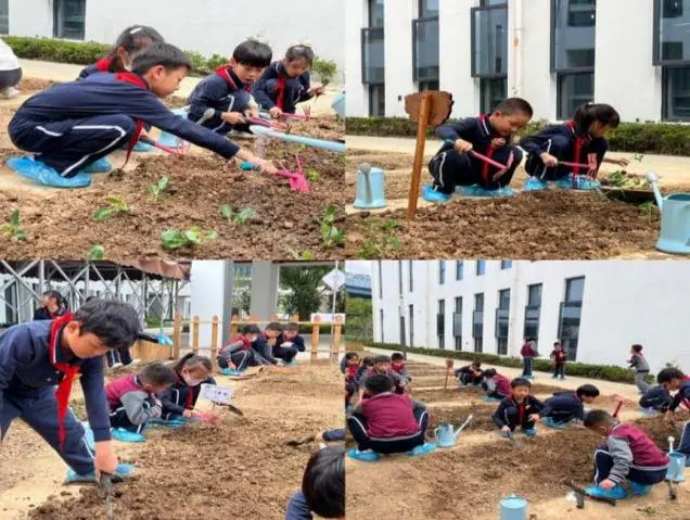 义务篮球训练的最佳实践方案_1